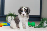 processed/c790d28b-4228-4a95-9ea5-b646cf679391/listing/7e0c4152-9cd9-46f2-9427-41a5266b9b63/e4b4c8d5-9011-4f28-96b1-34a355bff020