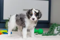 processed/c790d28b-4228-4a95-9ea5-b646cf679391/listing/7e0c4152-9cd9-46f2-9427-41a5266b9b63/f1c55410-422a-4ffa-87bb-9f567804870f