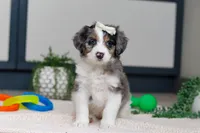 processed/c790d28b-4228-4a95-9ea5-b646cf679391/listing/7e0c4152-9cd9-46f2-9427-41a5266b9b63/f289afd1-5e04-4738-9da8-917f1bab658a