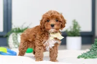 processed/c790d28b-4228-4a95-9ea5-b646cf679391/listing/837507b0-237d-4681-8b2c-bde28e5a877c/1ec47dcb-8e4a-4544-9c08-ea862cf88681