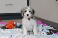 processed/c790d28b-4228-4a95-9ea5-b646cf679391/listing/b0d5366c-69b9-4e34-8b75-f41edbdf9a5b/b4640158-1360-4718-972d-b3ced37cb2d9