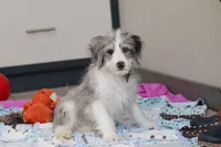 processed/c790d28b-4228-4a95-9ea5-b646cf679391/listing/b0d5366c-69b9-4e34-8b75-f41edbdf9a5b/ea099696-a299-4f63-bb6b-95d46ae503ee