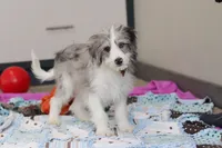 processed/c790d28b-4228-4a95-9ea5-b646cf679391/listing/b0d5366c-69b9-4e34-8b75-f41edbdf9a5b/feaf7fac-7b6d-4670-b707-78af283fc95e