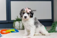 processed/c790d28b-4228-4a95-9ea5-b646cf679391/listing/ccfc544d-10d3-4407-a2de-3d09fa218094/416eb4e2-c067-42d8-91c0-6d9032cf179b