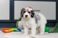 processed/c790d28b-4228-4a95-9ea5-b646cf679391/listing/ccfc544d-10d3-4407-a2de-3d09fa218094/c380b28e-8d43-4e53-b652-e02f306853c4