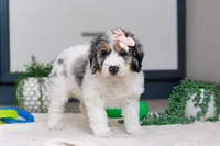 processed/c790d28b-4228-4a95-9ea5-b646cf679391/listing/ccfc544d-10d3-4407-a2de-3d09fa218094/d2c6f634-2347-45d3-9523-a2a3a6c480c5