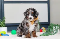 processed/c790d28b-4228-4a95-9ea5-b646cf679391/listing/f0f061cd-5f03-433f-9528-5cbfe145b0e5/24383785-6a28-412d-88d2-6fd72e36ce28