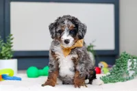 processed/c790d28b-4228-4a95-9ea5-b646cf679391/listing/f0f061cd-5f03-433f-9528-5cbfe145b0e5/32a9e109-b434-4ff2-8b73-23e3b5aeea12