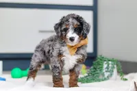 processed/c790d28b-4228-4a95-9ea5-b646cf679391/listing/f0f061cd-5f03-433f-9528-5cbfe145b0e5/34dd04b1-444e-46a3-8052-cee7c6dcc54f