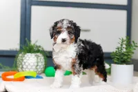 processed/c790d28b-4228-4a95-9ea5-b646cf679391/listing/f504a2bb-0777-43fd-81f7-bf58a5daa5f2/1ff71c18-f5e0-4afd-905b-61b2590e2a60