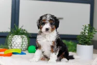 processed/c790d28b-4228-4a95-9ea5-b646cf679391/listing/f504a2bb-0777-43fd-81f7-bf58a5daa5f2/61c22e40-08d6-4e06-8e54-1b214801080b