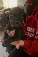 processed/c792d43a-b4cf-4c9d-a1d6-fa1a9a0f8cf2/facility/2f344ce8-6fd6-46fd-80b5-5fd849703000