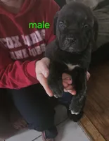 processed/c792d43a-b4cf-4c9d-a1d6-fa1a9a0f8cf2/facility/426d0b99-f68f-4dcc-9fa2-0d61fd4c2069