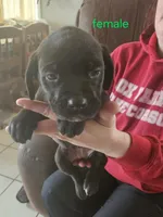 processed/c792d43a-b4cf-4c9d-a1d6-fa1a9a0f8cf2/facility/77ea0416-1559-444b-94a7-7c7bbafd6253