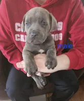 processed/c792d43a-b4cf-4c9d-a1d6-fa1a9a0f8cf2/facility/a2046af9-ab14-4fcf-a542-2531eceb2a63