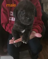 processed/c792d43a-b4cf-4c9d-a1d6-fa1a9a0f8cf2/facility/b4e7e0cd-8f52-4fdc-8507-3df6cfb650ea