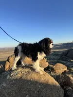 processed/c794540c-3190-4a9b-a392-9cb45027b79a/listing/9680186e-ad69-4471-b1e9-fbb6d85d53f9/0419d7f8-a068-41c6-9e8c-7ffd2f0e8d57