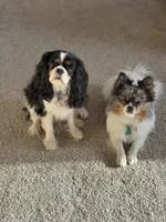 processed/c794540c-3190-4a9b-a392-9cb45027b79a/listing/9680186e-ad69-4471-b1e9-fbb6d85d53f9/0719f2aa-8a29-4335-9b63-52b0f0129bc9