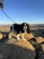 processed/c794540c-3190-4a9b-a392-9cb45027b79a/listing/9680186e-ad69-4471-b1e9-fbb6d85d53f9/c601abb2-4572-49c9-b00d-58821d9adae2