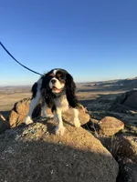 processed/c794540c-3190-4a9b-a392-9cb45027b79a/listing/9680186e-ad69-4471-b1e9-fbb6d85d53f9/db52267e-8372-49de-ac72-c4ef9758b173