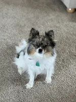 processed/c794540c-3190-4a9b-a392-9cb45027b79a/listing/be4256c5-c752-4922-b010-f3d9f44053ce/4ffa1748-4128-4712-bb09-dbcbd3ab19f3