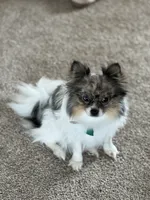 processed/c794540c-3190-4a9b-a392-9cb45027b79a/listing/be4256c5-c752-4922-b010-f3d9f44053ce/b42728a9-8550-4884-933e-36ffe062ed9d