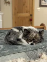 processed/c794540c-3190-4a9b-a392-9cb45027b79a/listing/be4256c5-c752-4922-b010-f3d9f44053ce/e645707b-84ef-4b25-85f5-298391a92d59