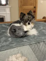 processed/c794540c-3190-4a9b-a392-9cb45027b79a/listing/be4256c5-c752-4922-b010-f3d9f44053ce/fca16186-0f58-4638-9b39-9f475bc74565