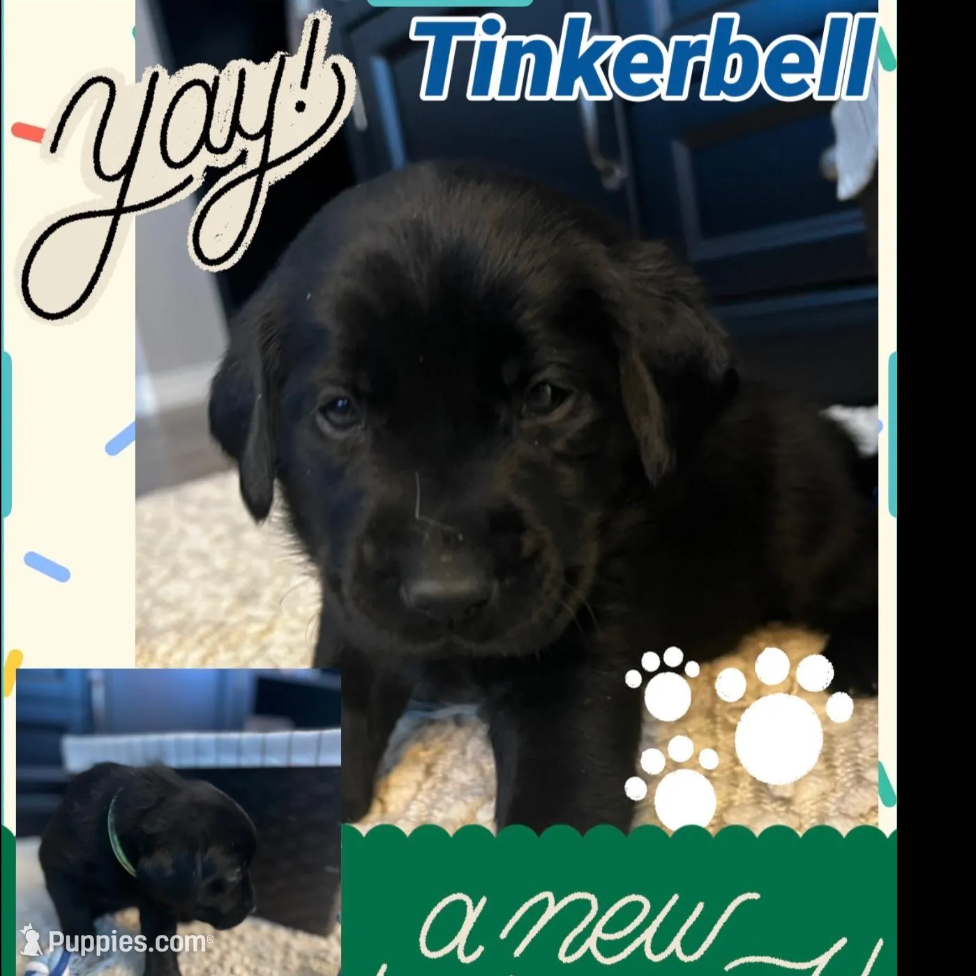 Tinkerbell