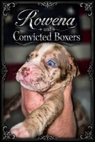 Rowena , a female Boxer for sale in Manistique, MI – 2 of 7