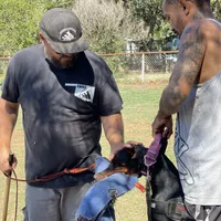 processed/c7a2ddc9-94df-4a74-85c1-bf1b03cec1b2/facility/2752d4f4-483c-4ad8-88db-288204a6184a