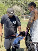 processed/c7a2ddc9-94df-4a74-85c1-bf1b03cec1b2/facility/2752d4f4-483c-4ad8-88db-288204a6184a