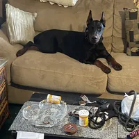 processed/c7a2ddc9-94df-4a74-85c1-bf1b03cec1b2/facility/6c0ca834-dbf4-482b-bb24-4dbb4078ee21