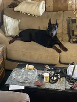 processed/c7a2ddc9-94df-4a74-85c1-bf1b03cec1b2/facility/6c0ca834-dbf4-482b-bb24-4dbb4078ee21