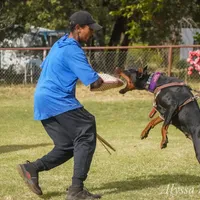 processed/c7a2ddc9-94df-4a74-85c1-bf1b03cec1b2/facility/730bcf58-a001-4960-a060-ee09c7ea3413