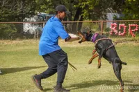 processed/c7a2ddc9-94df-4a74-85c1-bf1b03cec1b2/facility/730bcf58-a001-4960-a060-ee09c7ea3413