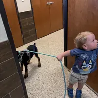 processed/c7a2ddc9-94df-4a74-85c1-bf1b03cec1b2/facility/80512a0f-750a-4a09-99a1-27aa32c19804