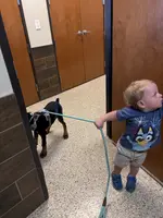 processed/c7a2ddc9-94df-4a74-85c1-bf1b03cec1b2/facility/80512a0f-750a-4a09-99a1-27aa32c19804