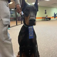 processed/c7a2ddc9-94df-4a74-85c1-bf1b03cec1b2/facility/83bb1daf-5d1d-498e-9bd6-a56403e70f18