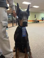 processed/c7a2ddc9-94df-4a74-85c1-bf1b03cec1b2/facility/83bb1daf-5d1d-498e-9bd6-a56403e70f18