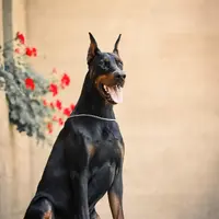 processed/c7a2ddc9-94df-4a74-85c1-bf1b03cec1b2/facility/c74381fb-1dd8-4eb1-9e0b-74859e48c538