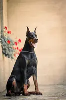 processed/c7a2ddc9-94df-4a74-85c1-bf1b03cec1b2/facility/c74381fb-1dd8-4eb1-9e0b-74859e48c538