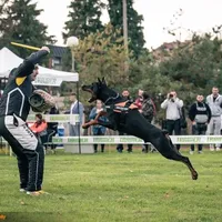 processed/c7a2ddc9-94df-4a74-85c1-bf1b03cec1b2/facility/d053a178-ca2c-4de2-b0e4-29b3beda2b06