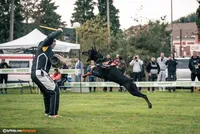 processed/c7a2ddc9-94df-4a74-85c1-bf1b03cec1b2/facility/d053a178-ca2c-4de2-b0e4-29b3beda2b06