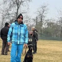 Int. Ch Walter  IGP1, a male Doberman Pinscher for sale in Binger, OK – Photo 5 of 8