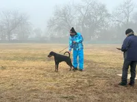 processed/c7a2ddc9-94df-4a74-85c1-bf1b03cec1b2/listing/47847106-a43a-4294-bd42-73d0eef86813/46eea007-1270-4553-a54a-5e3db69e08ef