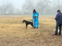 processed/c7a2ddc9-94df-4a74-85c1-bf1b03cec1b2/listing/47847106-a43a-4294-bd42-73d0eef86813/5234b4dc-d36f-4f13-8d4b-9c0433faf4df