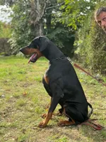 processed/c7a2ddc9-94df-4a74-85c1-bf1b03cec1b2/listing/47847106-a43a-4294-bd42-73d0eef86813/64439087-b664-4d2b-8268-1b6c2887725a