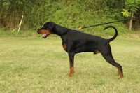 processed/c7a2ddc9-94df-4a74-85c1-bf1b03cec1b2/listing/47847106-a43a-4294-bd42-73d0eef86813/6bdd2bd7-78b9-4e49-896f-868d6e398883