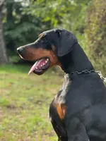 processed/c7a2ddc9-94df-4a74-85c1-bf1b03cec1b2/listing/47847106-a43a-4294-bd42-73d0eef86813/9e502d2e-9b98-4a44-8203-85c6e89fd6f4